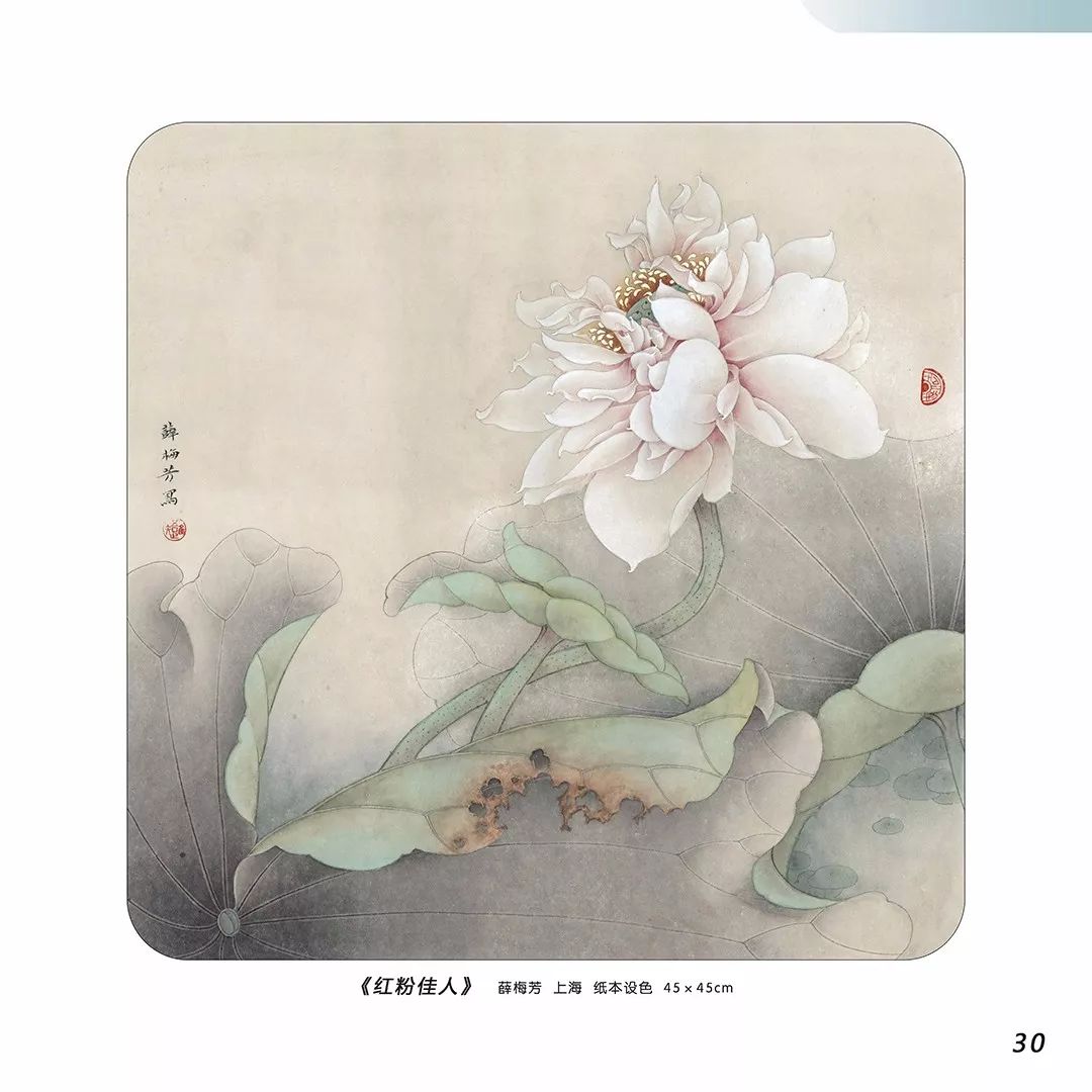 分享一组工笔荷花写生作品,你一定喜欢!