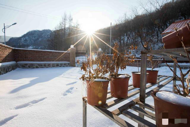 《乡村爱情》冬天的象牙山:最漂亮是刘能家,葡萄架依然是绿色