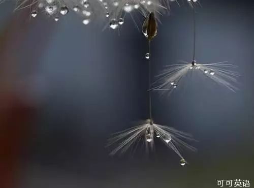 cb788fe8b4384c66a80c3f1131826fe7.jpeg