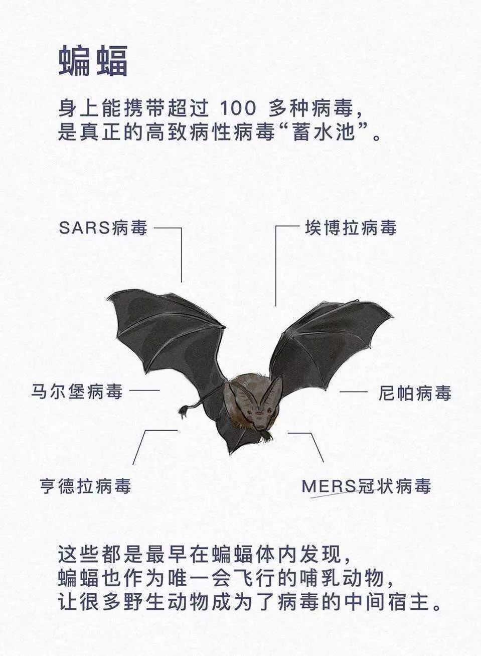 有没有黄梅戏曲谱带指法的曲谱(2)