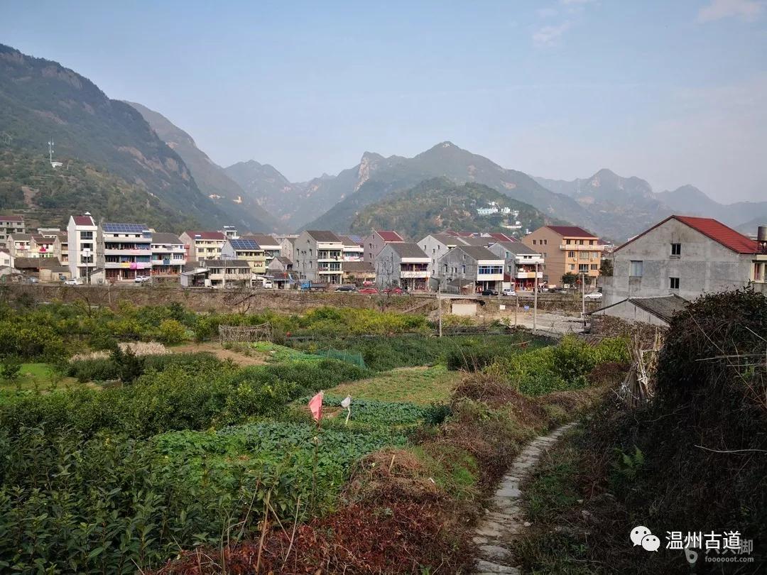 永嘉乌牛西岙东樟岭古道西叶行禅杨家山环线穿越,风景如画!_叶村