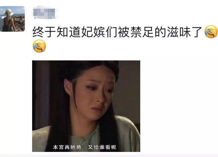 清华博士宅在家给猫讲函数,春节无聊时你在干嘛