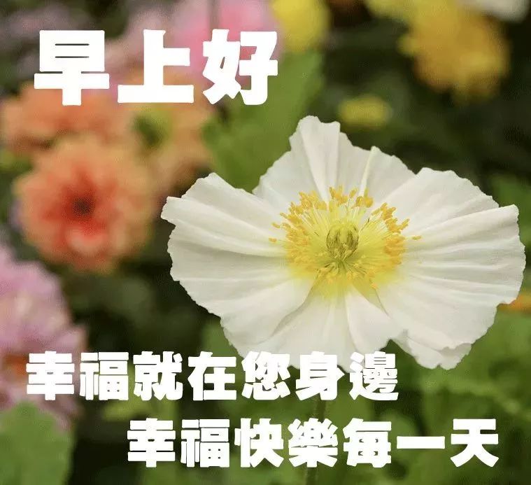 早上起床群发温馨早安问候语动态表情图片 早上好很漂亮的带字祝福语