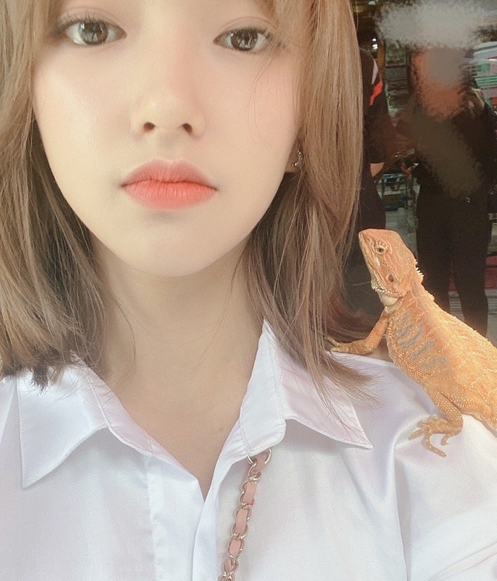 拍照如何清晰又美颜 e2916f87a6c44ff9b9dac23f1bdad9de.png