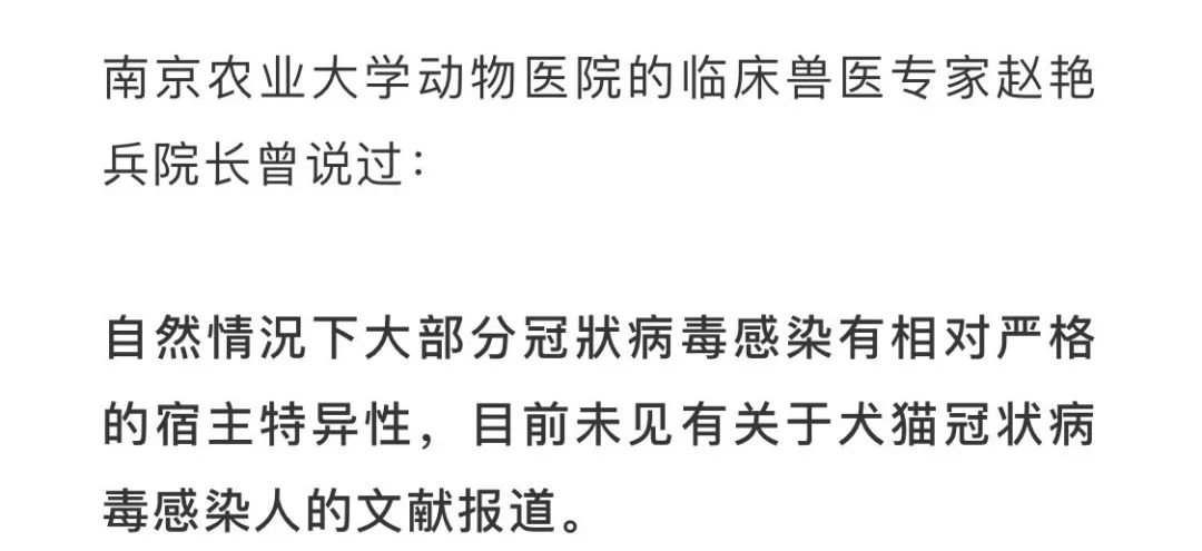 养猫能防新型冠状病毒?你咋心那么大呢!