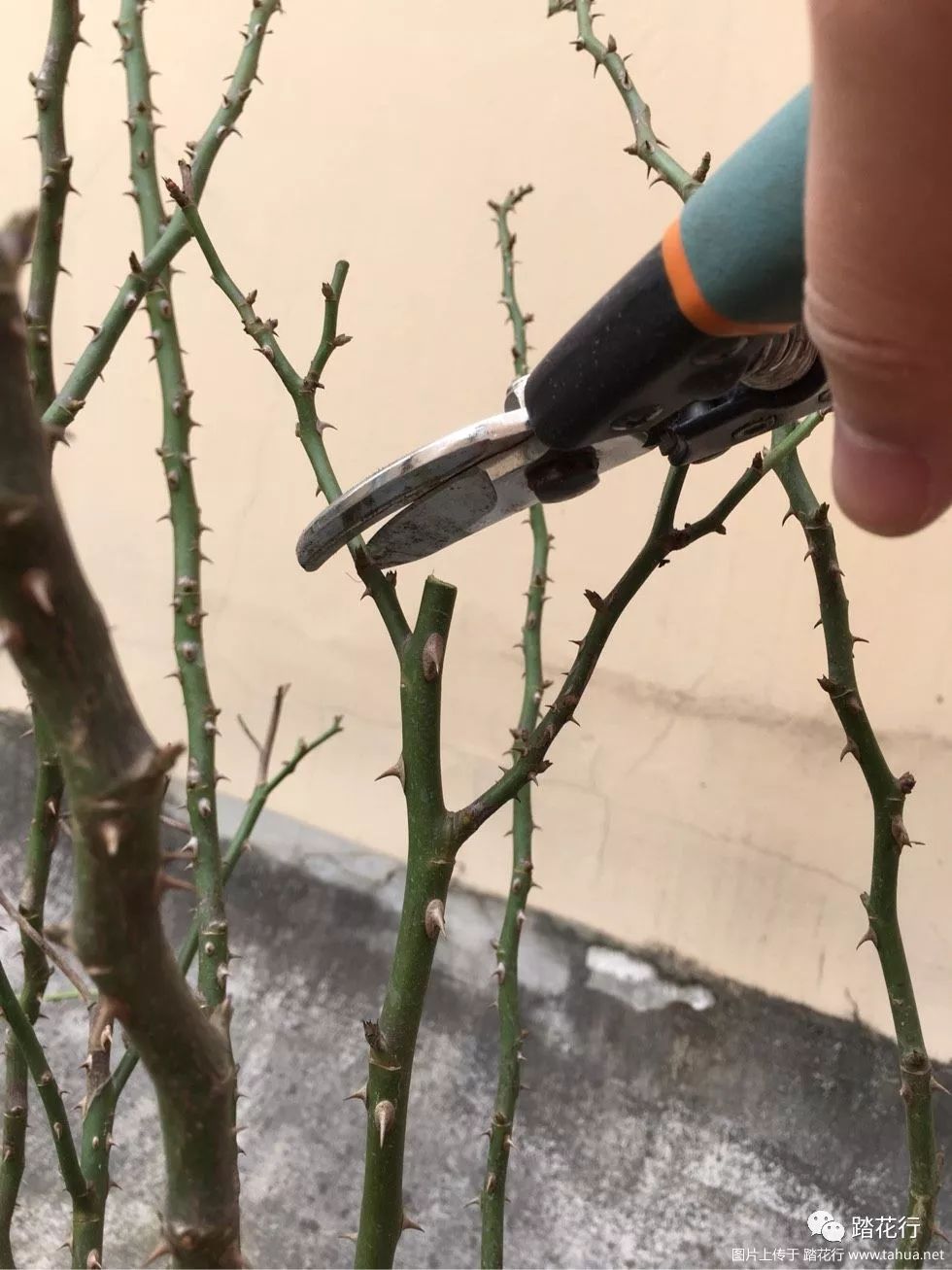 0f3d713ef237488f8158f77cfcc5f2c3.jpeg