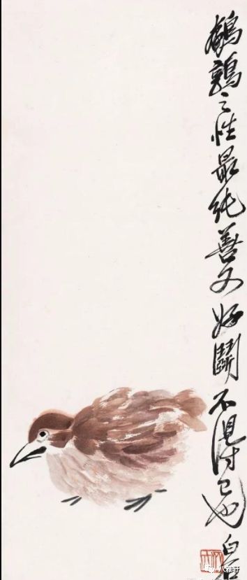八雅轩丨【八雅丹青】齐白石画鹌鹑真吉祥!阖家平安,事事安顺!