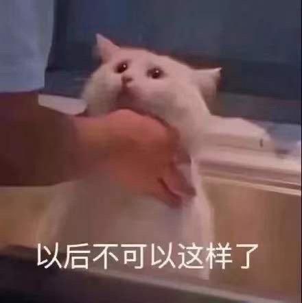 83d8246e16694d3dafc252c108c3087b.jpeg
