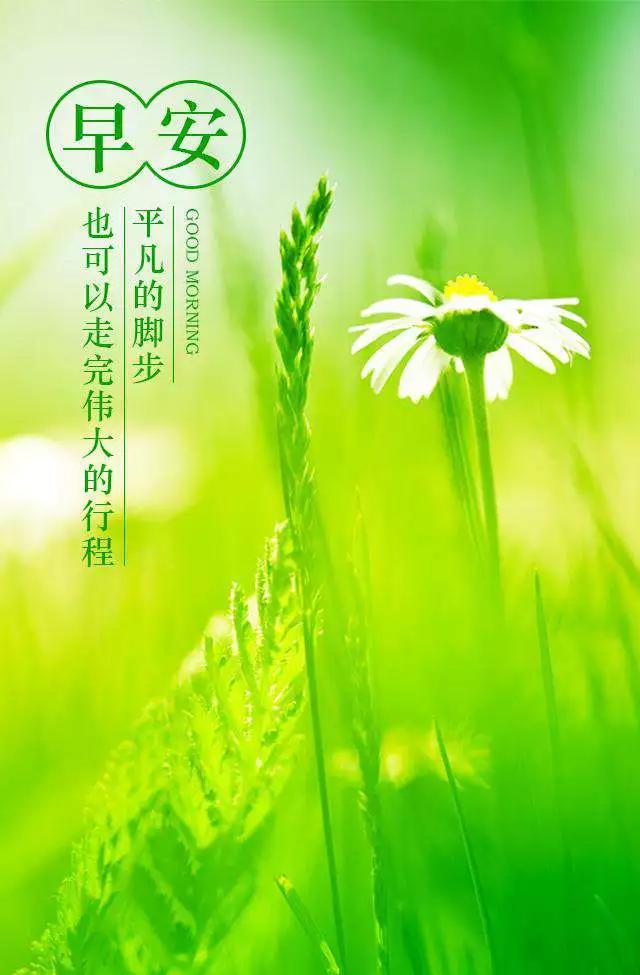 留不住的人就想开点,不要想太多,你会开心点,早安