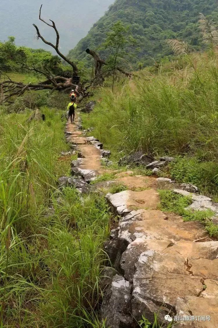 徒步阳山水口秦汉古道,用双脚丈量美景!