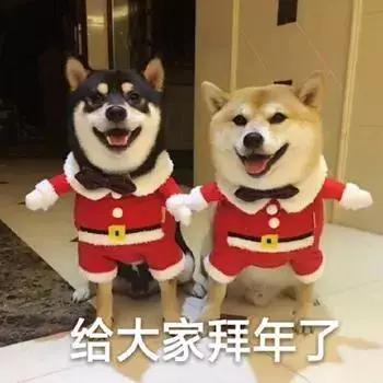 表情包 | 我要无聊到失去理智了