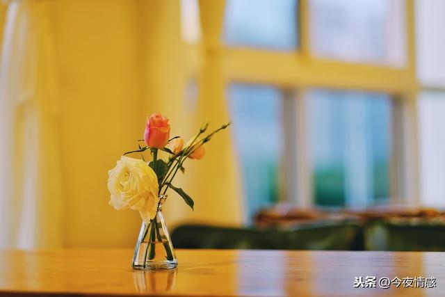 生活的意义在于生活本身 20d0f429b5fb41818f5a5943d8c6c368.jpeg
