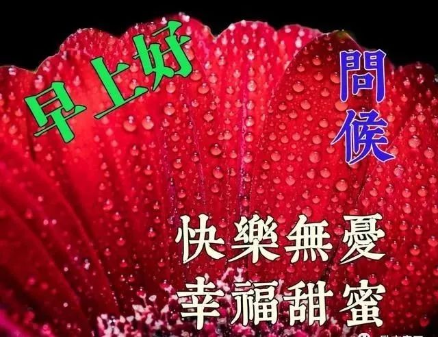 65880e5cb8a44328b1c911c12278b14b.jpeg