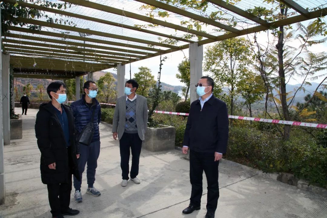 李春华,谭兴忠分别率队检查督导疫情防控工作
