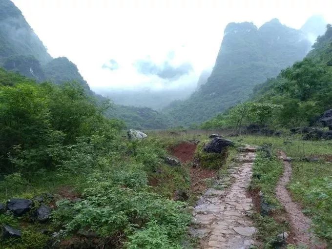 徒步阳山水口秦汉古道,用双脚丈量美景!