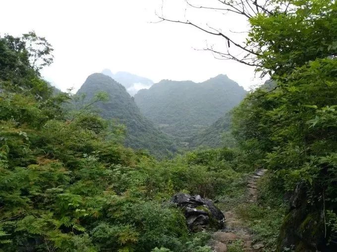 徒步阳山水口秦汉古道,用双脚丈量美景!