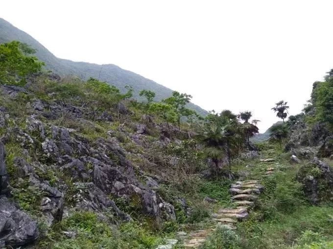 徒步阳山水口秦汉古道,用双脚丈量美景!