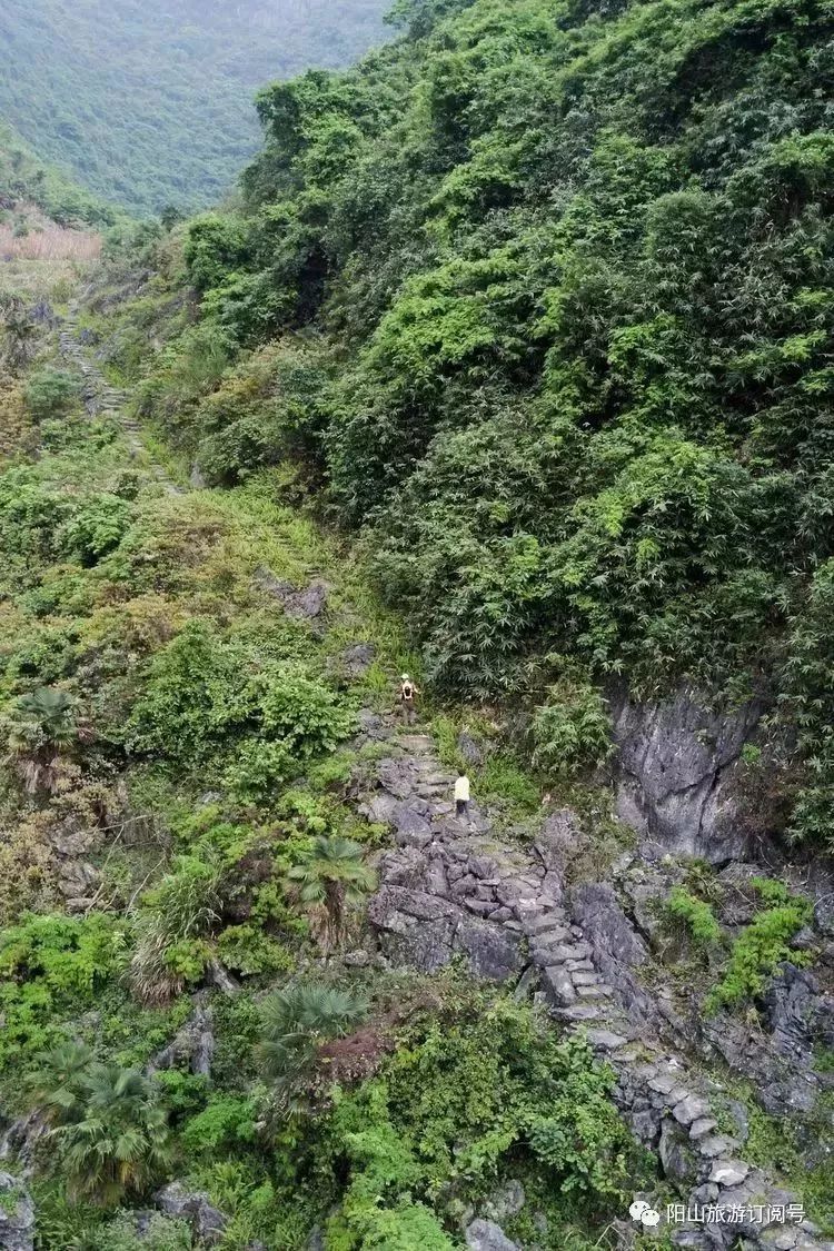 徒步阳山水口秦汉古道,用双脚丈量美景!