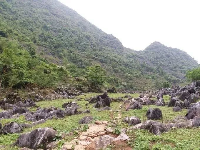 徒步阳山水口秦汉古道,用双脚丈量美景!