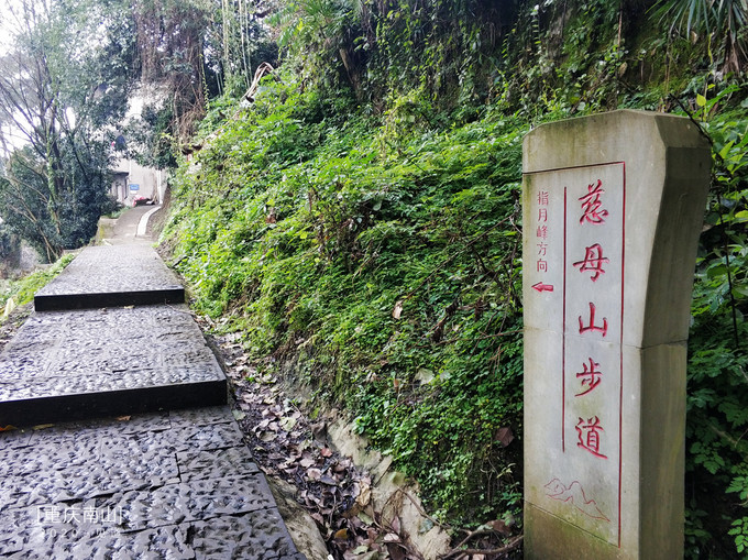 重庆南山登山步道-12条入门步道