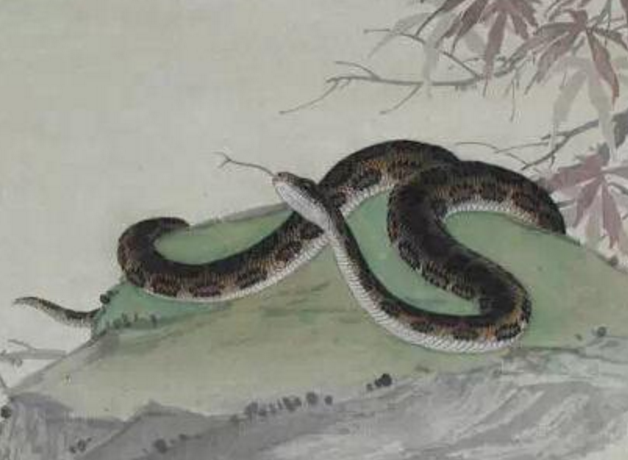 梦见一条很长很长的蛇在海里追着咬我,深度解析梦境中的象征与隐喻 梦见一条很长很长的蛇在海里追着咬我,深度解析梦境中的象征与隐喻