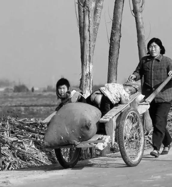 就是这样的地板车 围上档子能运肥 套上牛驴能拉车 推着小车叼着烟 不