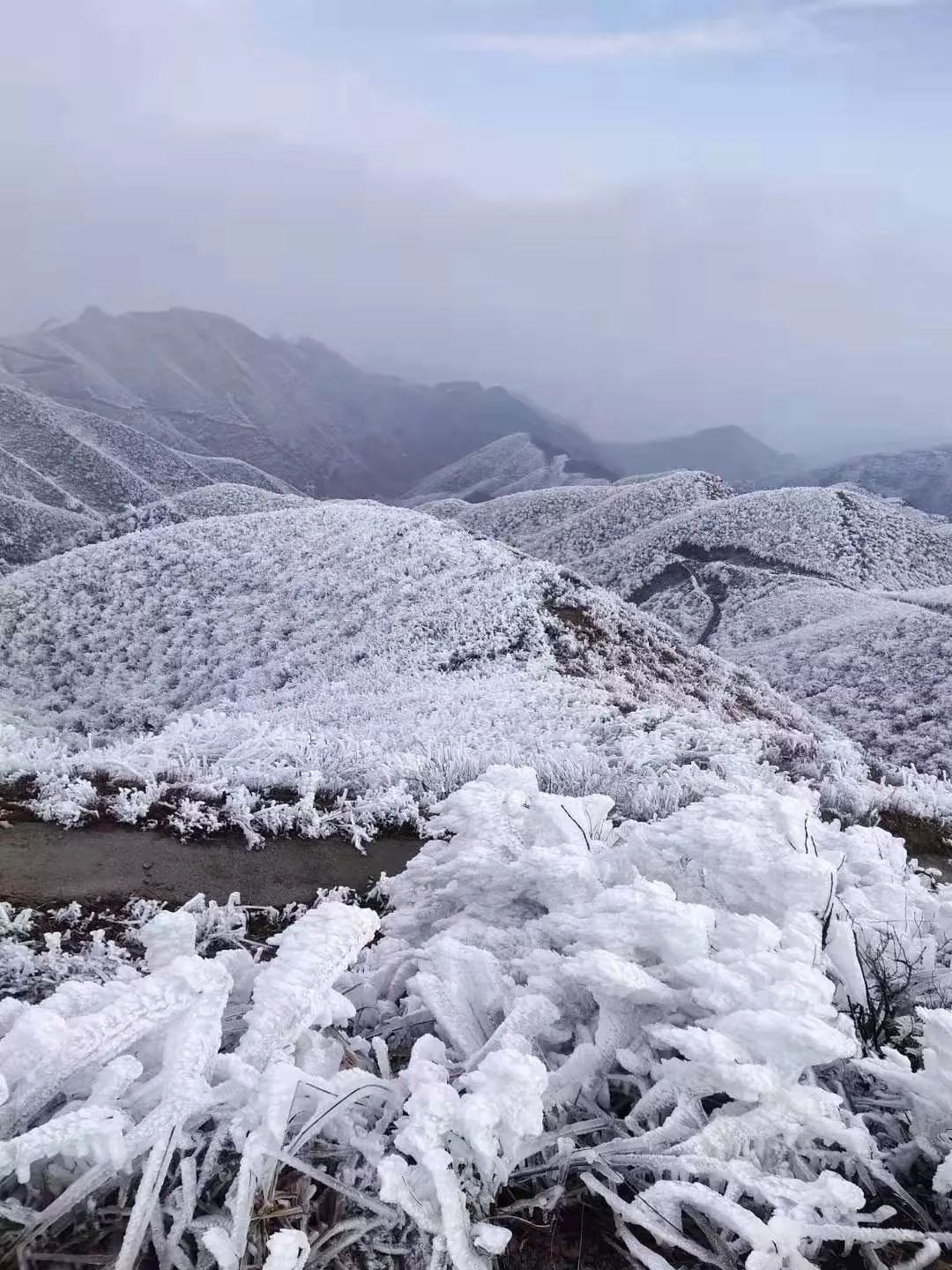 大美桂阳!天堂山雪景美爆了