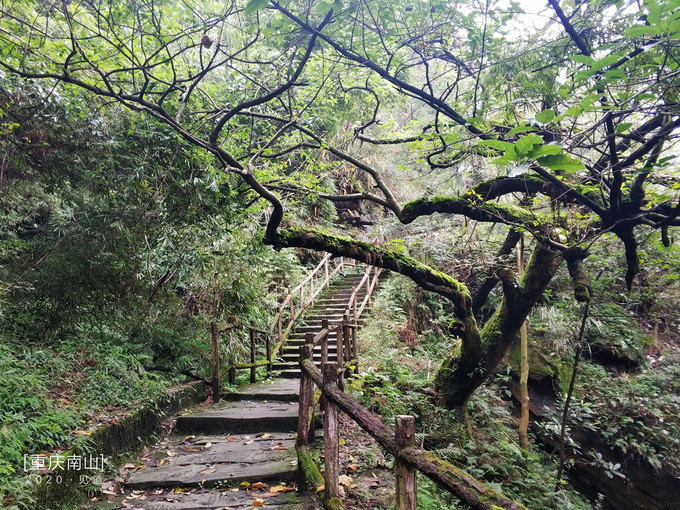 重庆南山登山步道-12条入门步道