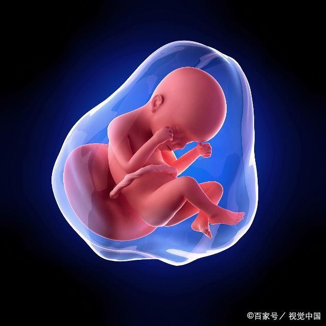 四个月胎儿会绕颈吗 eaa1173bde6342d19df02f9a3ea878af.jpeg