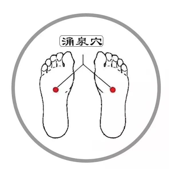 中医补阳食疗 f74894ee1bae43a5b1c38ce5ab9fa1a1.jpeg