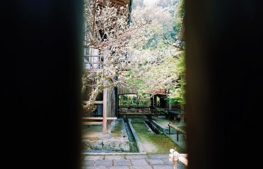 道真有多少人口_道真传统文化有哪些(3)