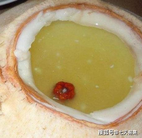 椰子煲汤大全及做法介绍