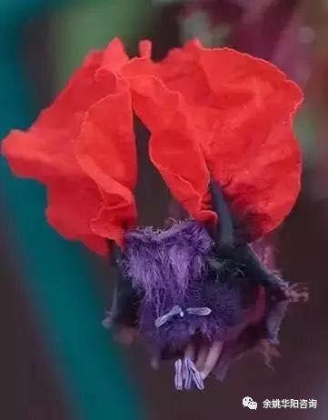 余姚会计培训:2020年初级会计实务通关试题(最新发布)