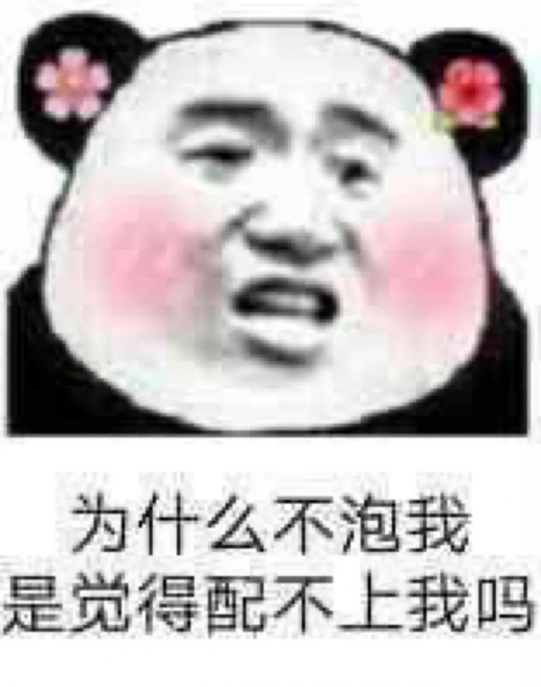 表情包 |聊天专用搞笑表情包,带字表情包