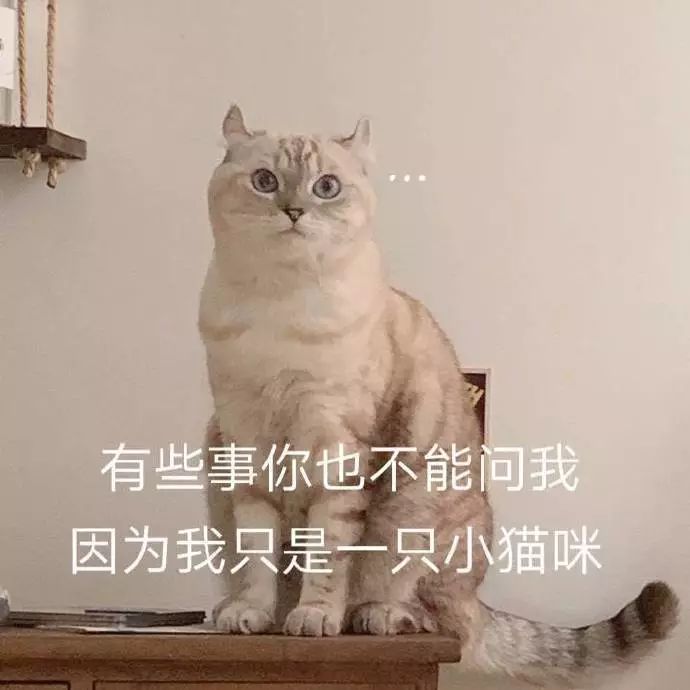 1c853a48d80f4fc383c02817b9a4a7e9.jpeg