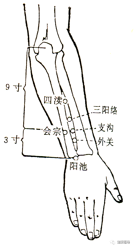 绝骨穴在外踝高点上3寸,当腓骨后缘.