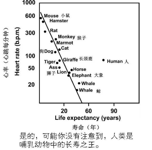 病毒消灭人口_消灭贫困人口(3)