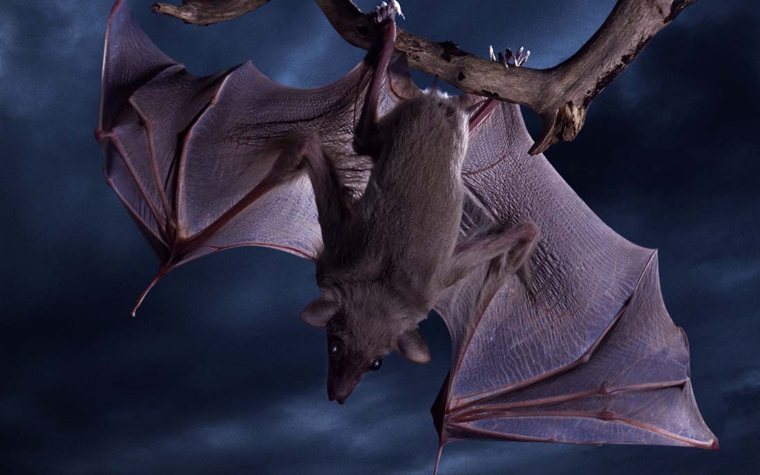 ΪʲôĻǵ