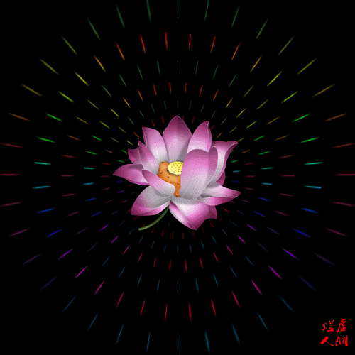 500_500