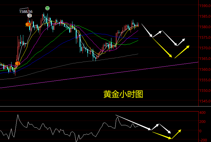 719cbda254844c3f881f50a2a6f4037d.png