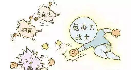什么东西能提高身体免疫力 744a8263d63243c3af32c4ca68a963f8.jpeg