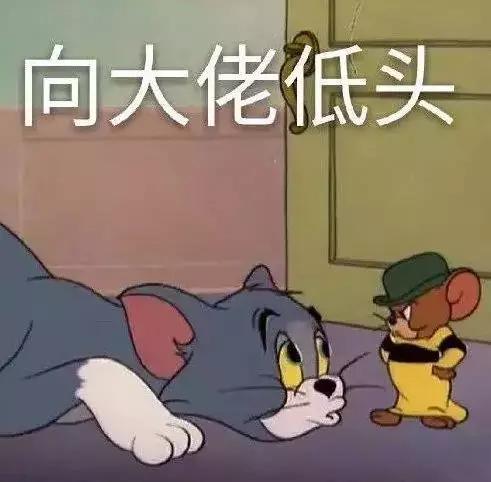 83d9f5d55fef47f3b7e7fccf0020544b.jpeg