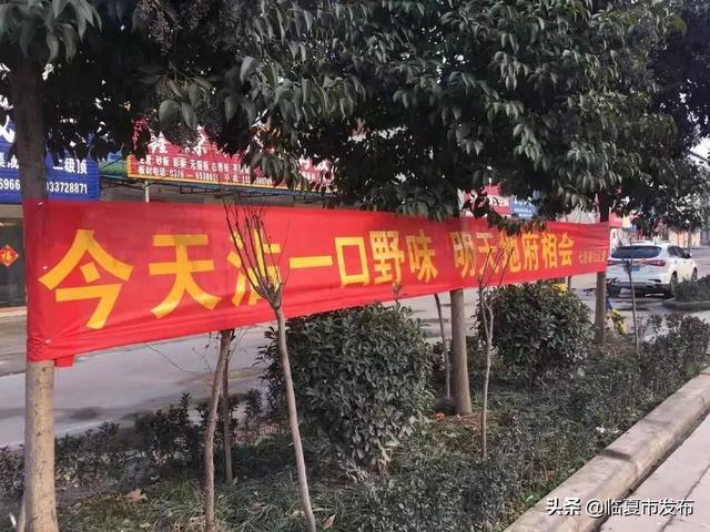 看了这些"土味"标语横幅,你就明白为什么要依靠人民群众了