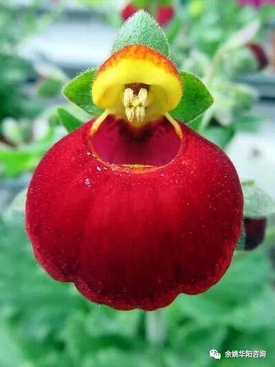 余姚会计培训:2020年初级会计实务通关试题(最新发布)