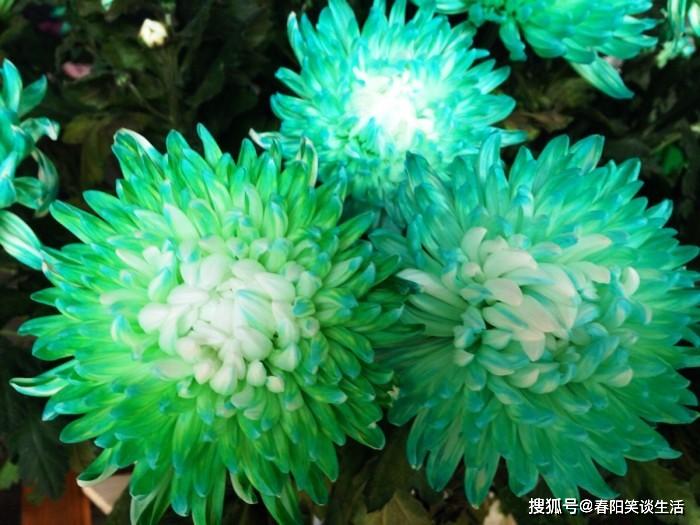 别人给你解惑怎么说