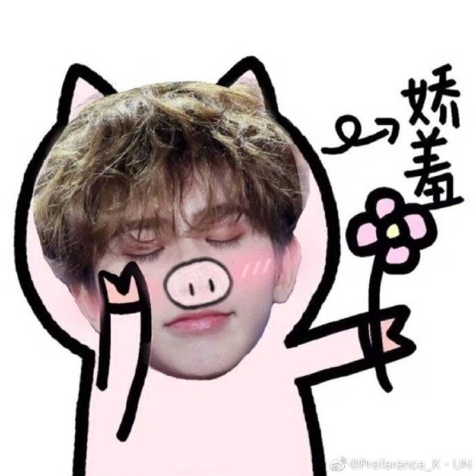 斗图吗?猪咪小葵表情包豪华套餐大放送