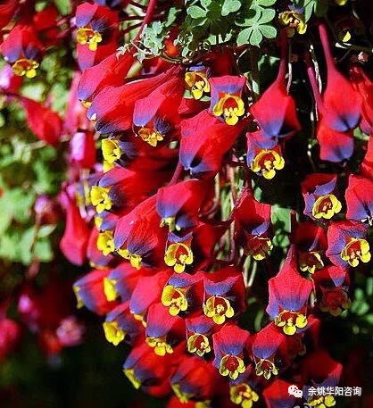 余姚会计培训:2020年初级会计实务通关试题(最新发布)