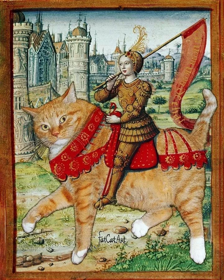 会拍照的铲屎官,拍的猫片最有趣!