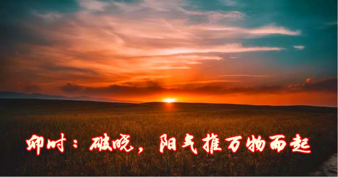 deb4852880514deaa2467346d91c18f5.jpeg
