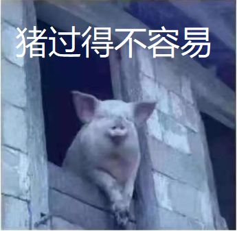 f7483a45c5db4a1f93228e73944babb5.jpeg